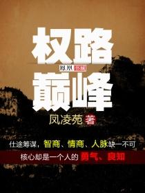 权路巅峰陆皓大结局