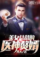 美女总裁的医神赘婿全书