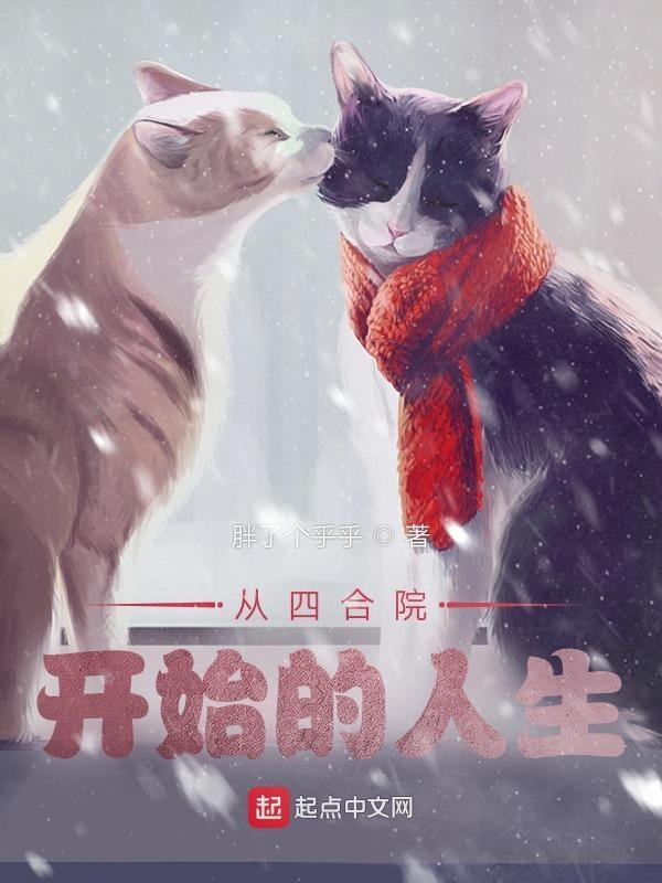 从四合院开始的人生全文免费阅读