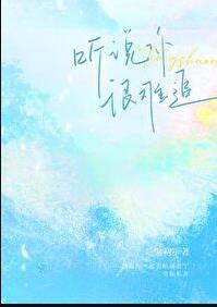 听说你很难追简介