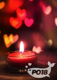 穿书成了禁文女主后全集免费阅读