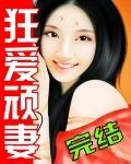顽劣狂妻之妃要出逃2