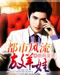 都市风流记完结阅读
