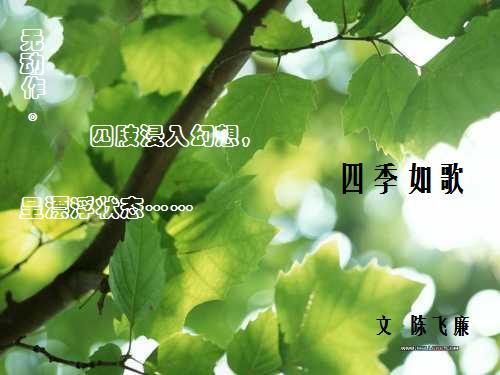 四季如歌歌词是什么意思