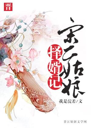 宋二姑娘择婿记 浣若君讲的什么