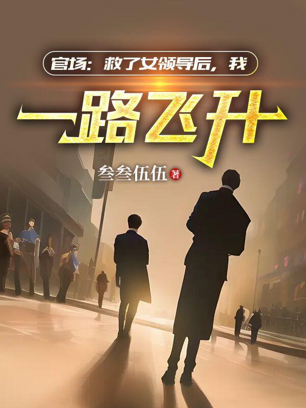 步步高升的官场