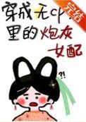 穿成女配无cp