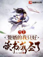 嗯赘婿当道
