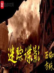 迷踪谍影断更了