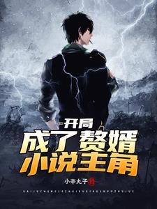 开局赘婿的