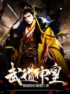 武道神皇叶辰叶铃