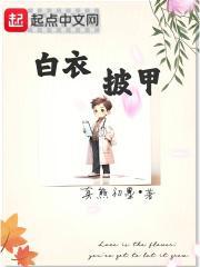 白衣披甲奇书网
