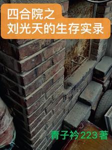 四合院卧室刘光天