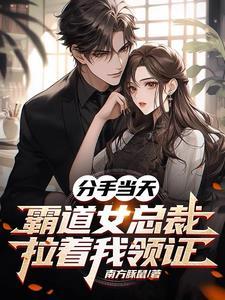 京城悍匪开局闪婚御姐女总裁无删减