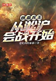 铁血淞沪30集全