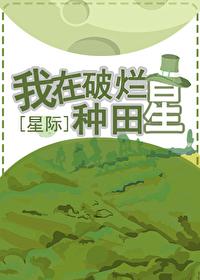 我在破烂堆里捡宝物