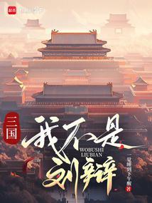 三国我刘辩让大汉再次伟大免费