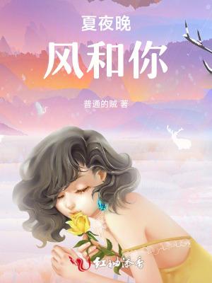 夏夜晚风的歌词表达的是什么