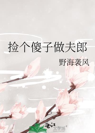 捡个傻子做夫郎野海免费阅读