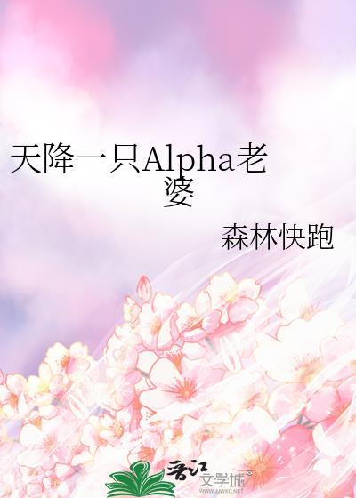 天降爱妻一赠二免费