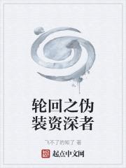 轮回之伪装资深者百度百科