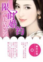 限时婚约:前夫请签字