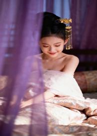 满朝文武皆为帐中客(h)