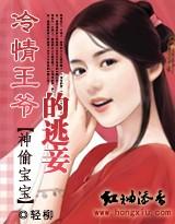 神偷宝宝:冷情王爷的逃妾